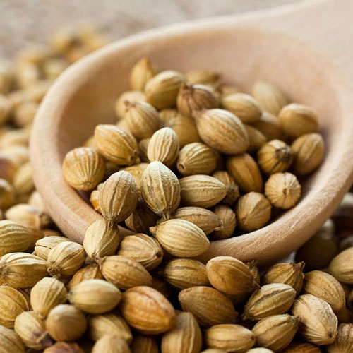 coriander-seeds-1536647163-4286101